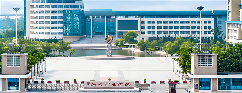 烟台职业学院项目